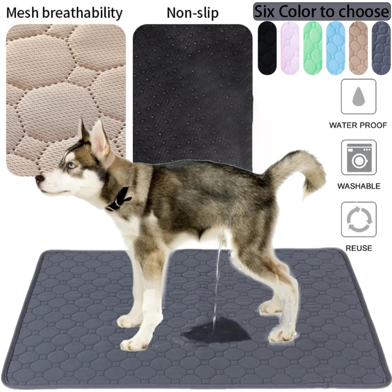 Wiederverwendbare Hunde-Pipiun – Carriage Bed Bewertung und Preis